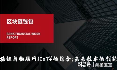 : 区块链与物联网（IoT）的结合：未来技术的创新之路